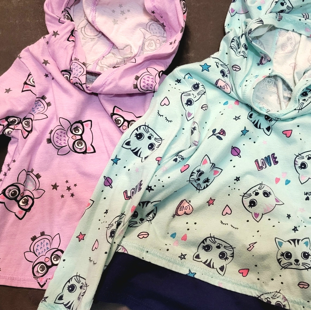 2 tee hoodies